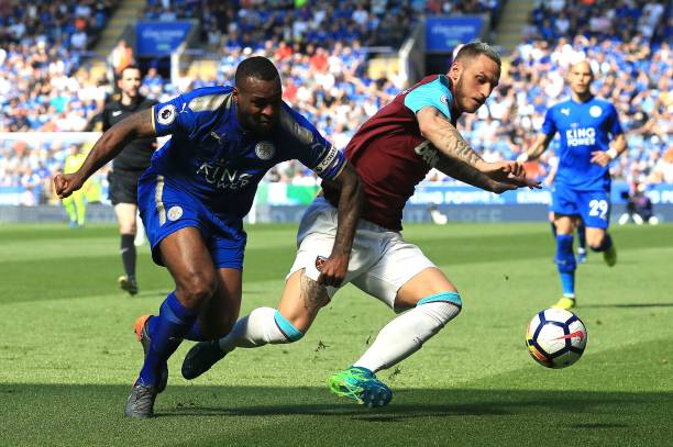 许多名宿的 许多名宿的