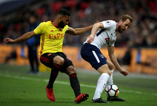 可能预示着 可能预示着